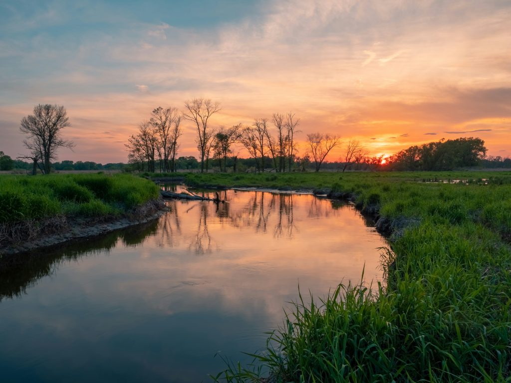 Fluss und Graslandschaft bei Sonnenuntergang.