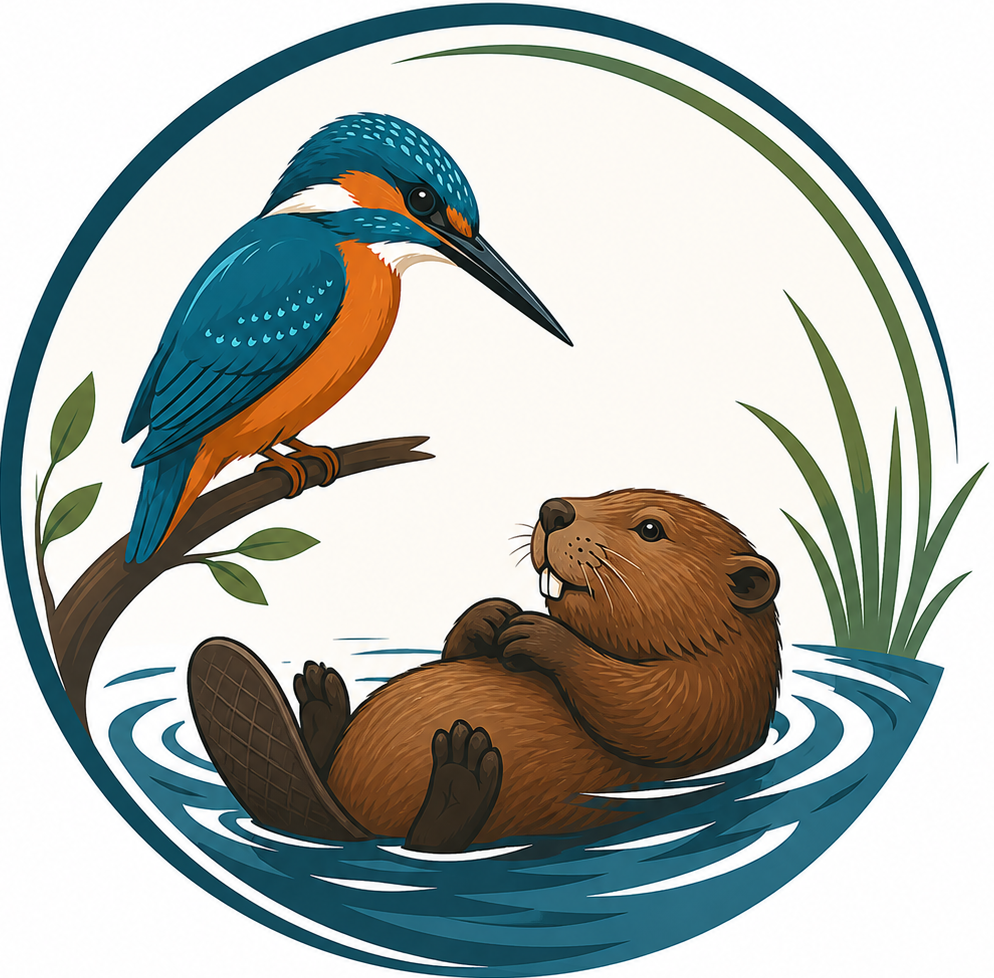 Birds & Beavers
