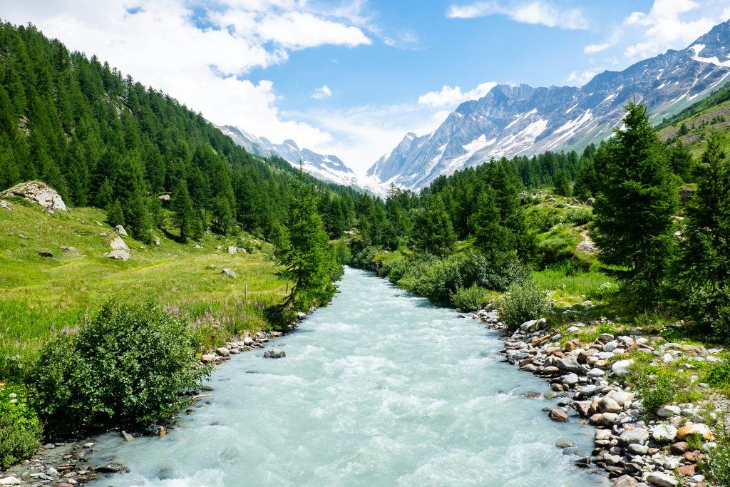 Flussbett in einer alpinen Landschaft mit Nadelbäumen.